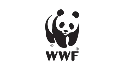 Success Story WWF